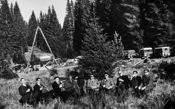 Δασική ιστορία